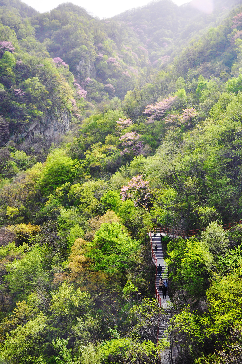 这里有十里亲水画廊,在海拔1400米的地方看世界杯,赏流泉飞瀑