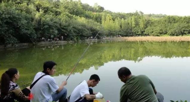 深圳钓鱼免费地点推荐,深圳10个免费钓鱼的好地方