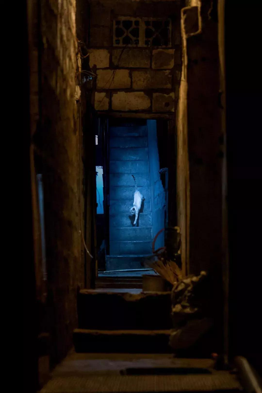 上半年大片,上半年大片推荐