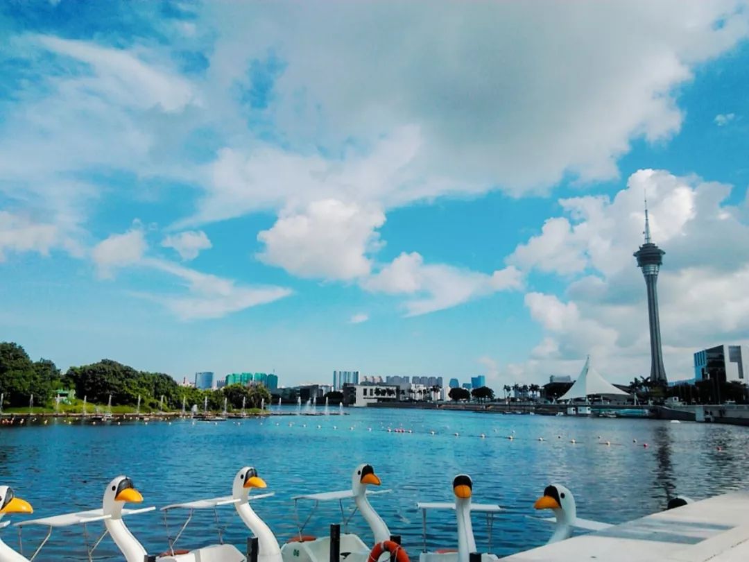 纸醉金迷外国版,总要来一趟澳门感受下纸醉金迷