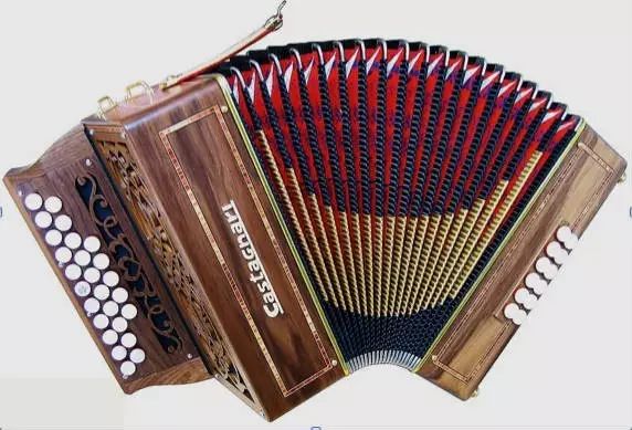 手风琴的鼻祖是中国的乐器,手风琴的鼻祖是什么