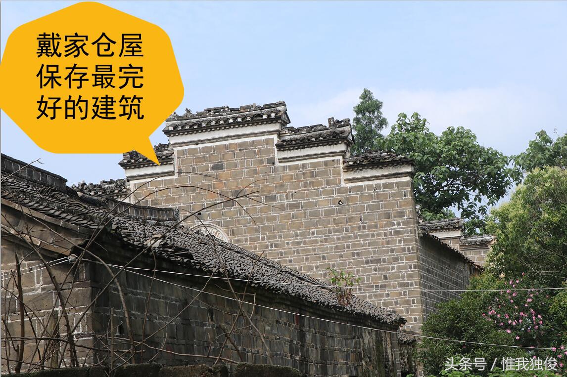 随州太白顶风景区简介视频,发现之旅神农架野人之谜