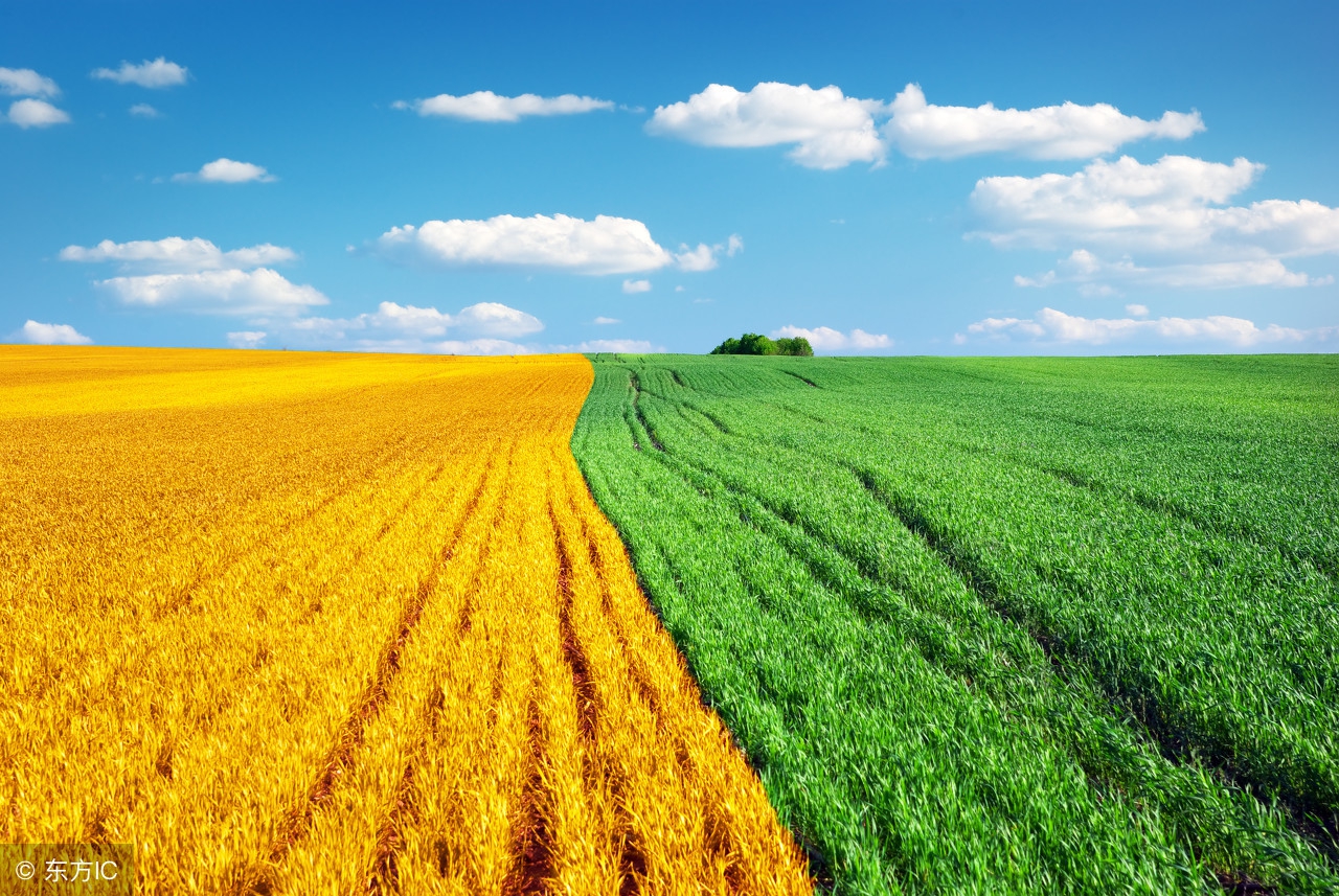 三农农村农业新政策,三农大托管