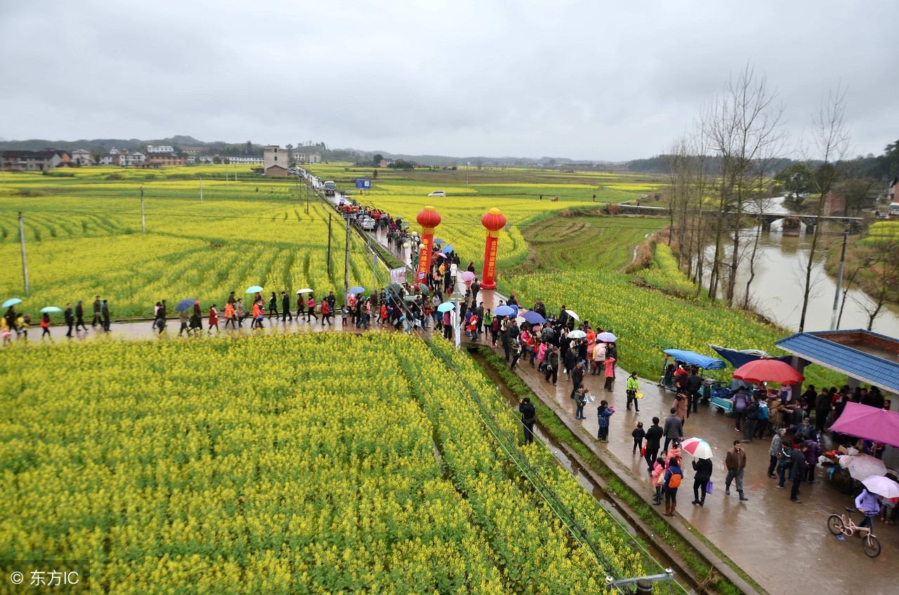 农村农业种植业哪种能赚钱,2021年十大农业赚钱模式盘点