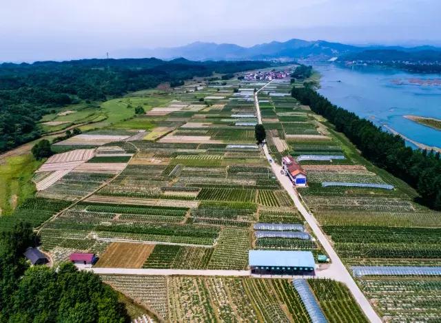 下一站湘府路站,下一站湖南