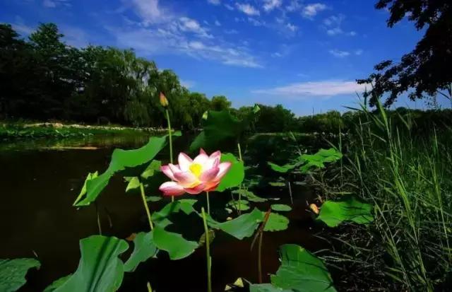 下一站湘府路站,下一站湖南