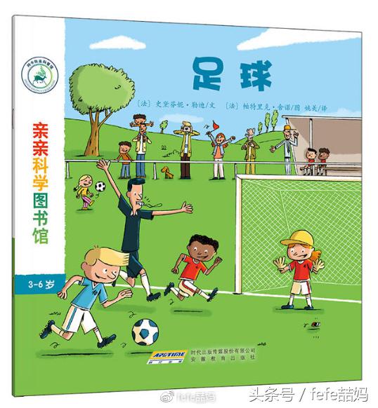足球书籍世界杯,世界杯来了绘本