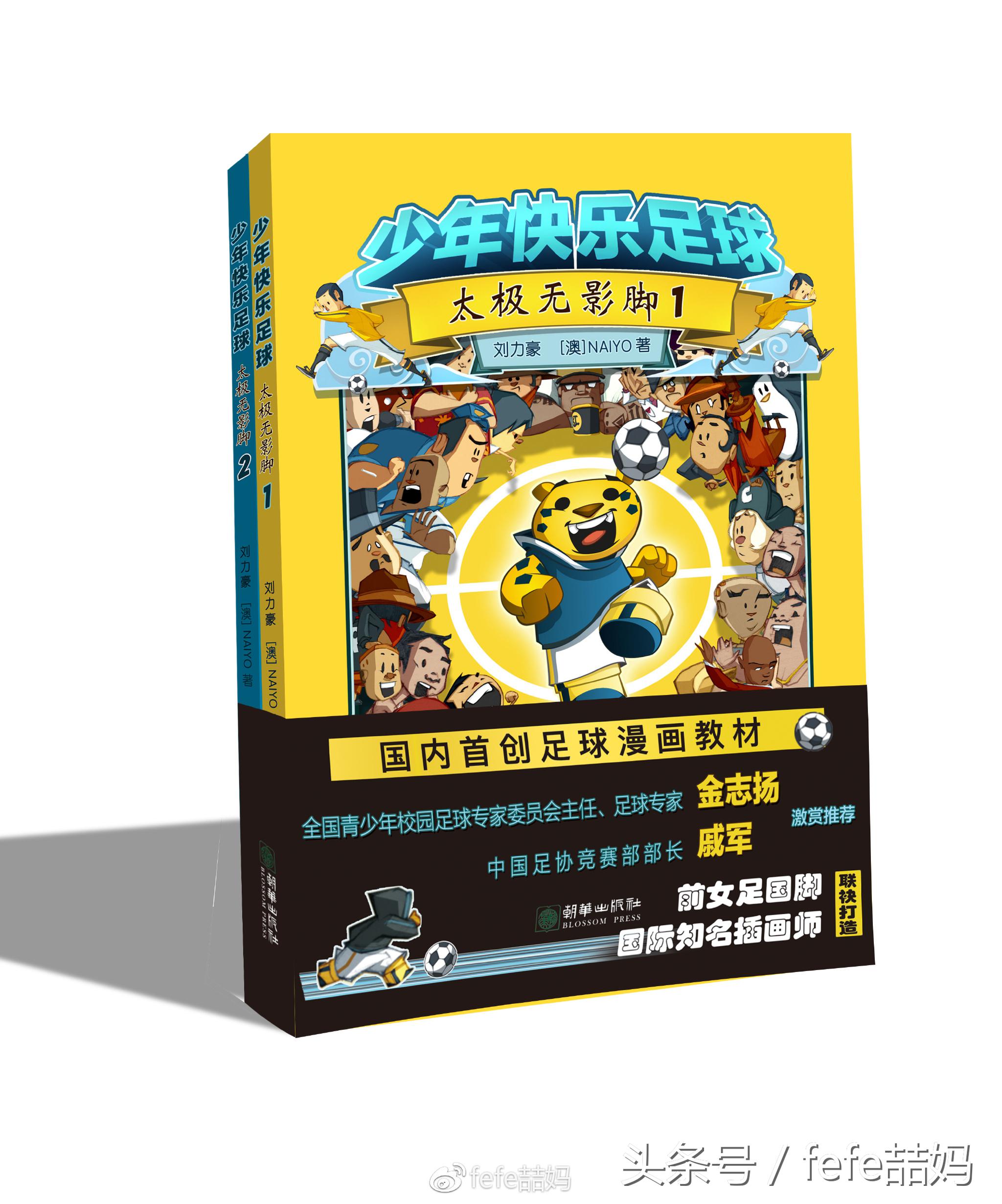 世界杯必读书籍,足球书籍世界杯