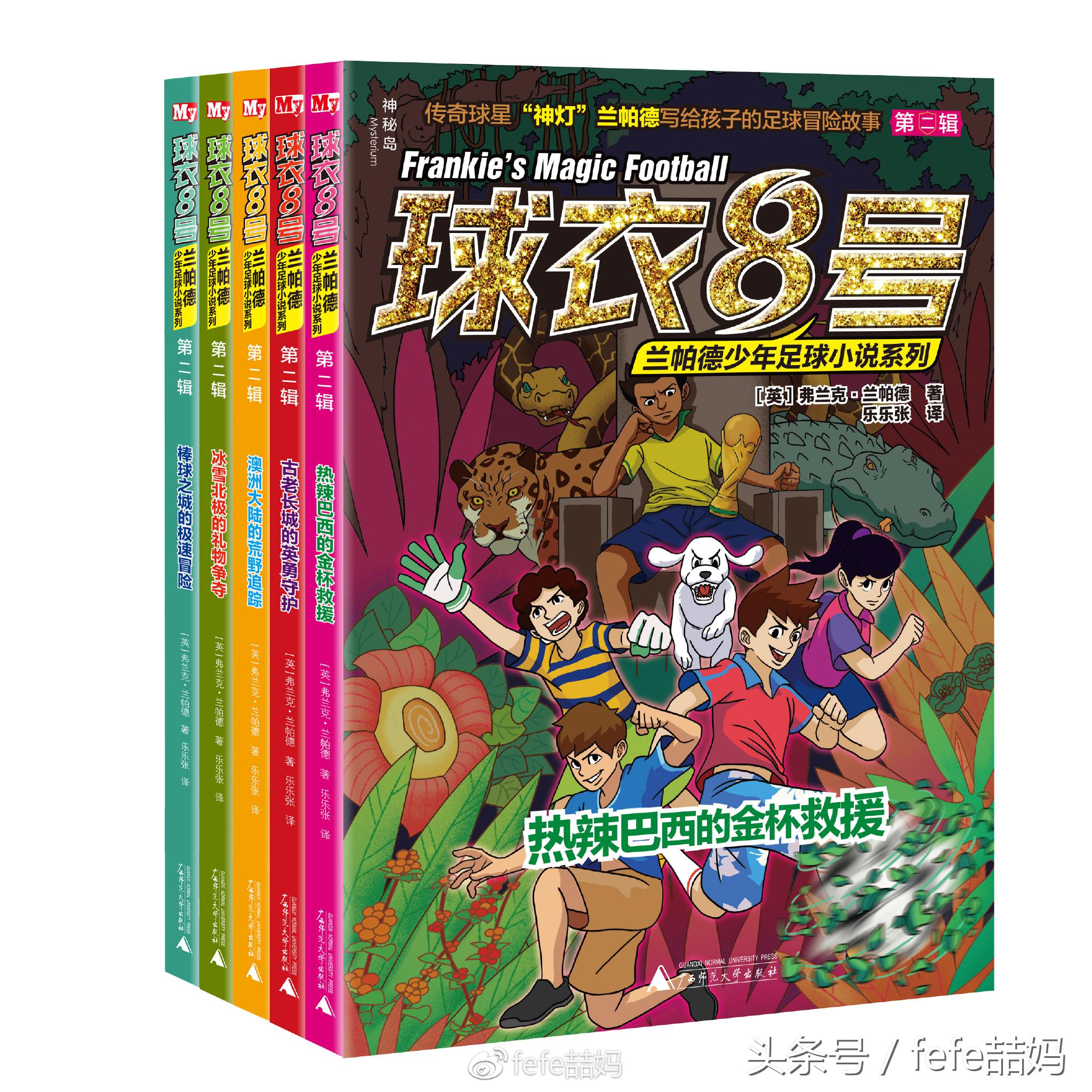 世界杯必读书籍,足球书籍世界杯