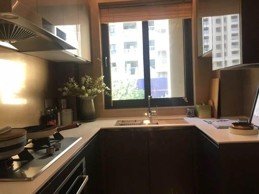 卢俊接受采访,卢俊的全部视频