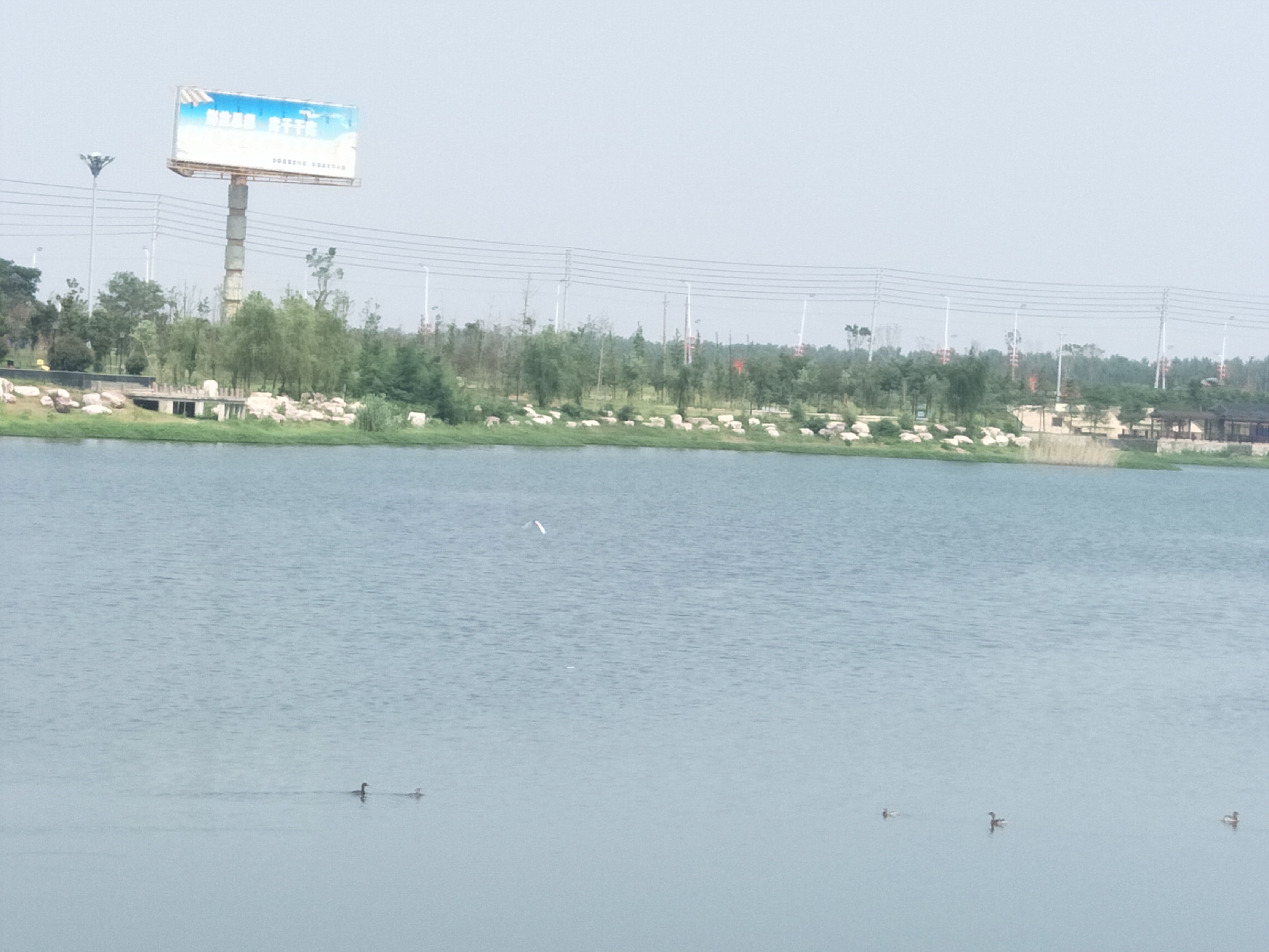 新蔡一个五湖环绕的生态水城,新蔡生态水城宣传片