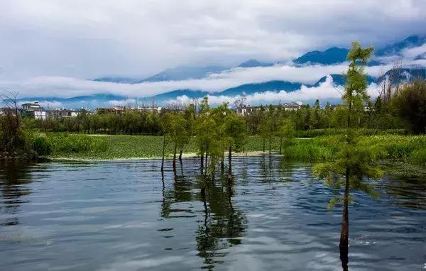 大理到昆明高铁票价,大理到昆明火车时刻表及票价
