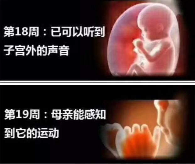 养出漂亮宝宝,养出聪明娃的技巧