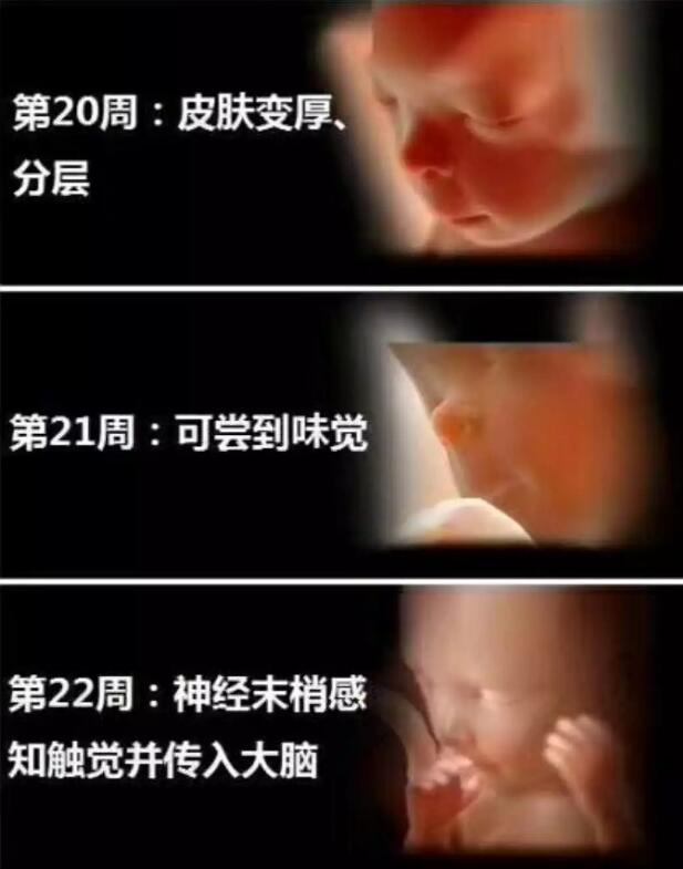 养出漂亮宝宝,养出聪明娃的技巧