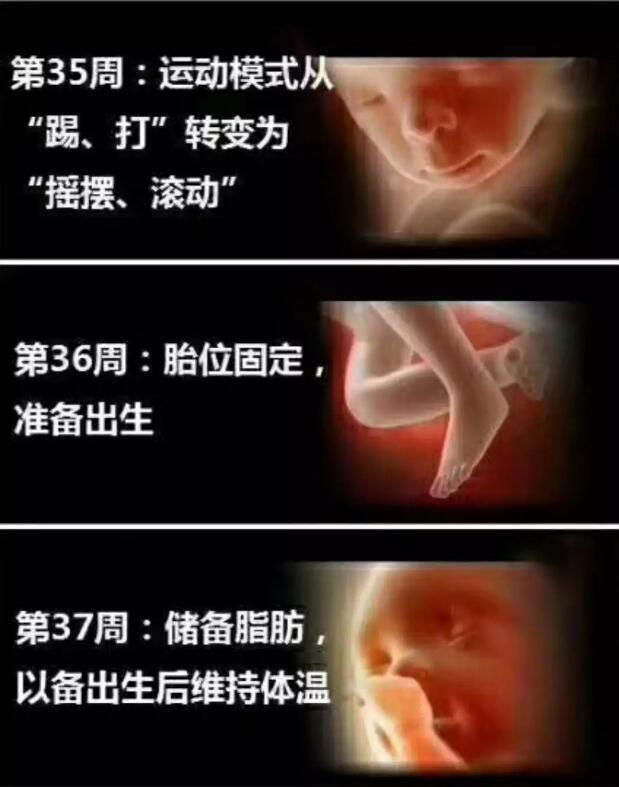 养出漂亮宝宝,养出聪明娃的技巧