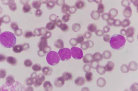 c罗最著名的运动员,除了c罗还有哪些球员