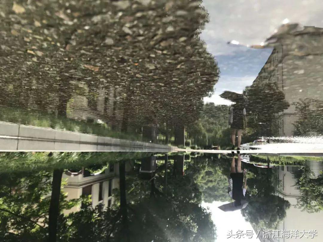 你觉得大海是怎么样的二年级上册,你觉得夏天是怎样的