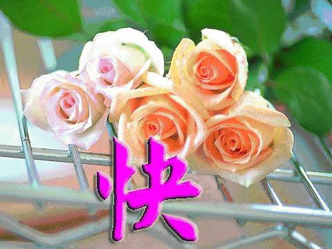 早上好微信动态表情图片大全,早上好微信动态表情精美图片大全