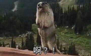 世界杯观看新姿势,世界杯看球模式