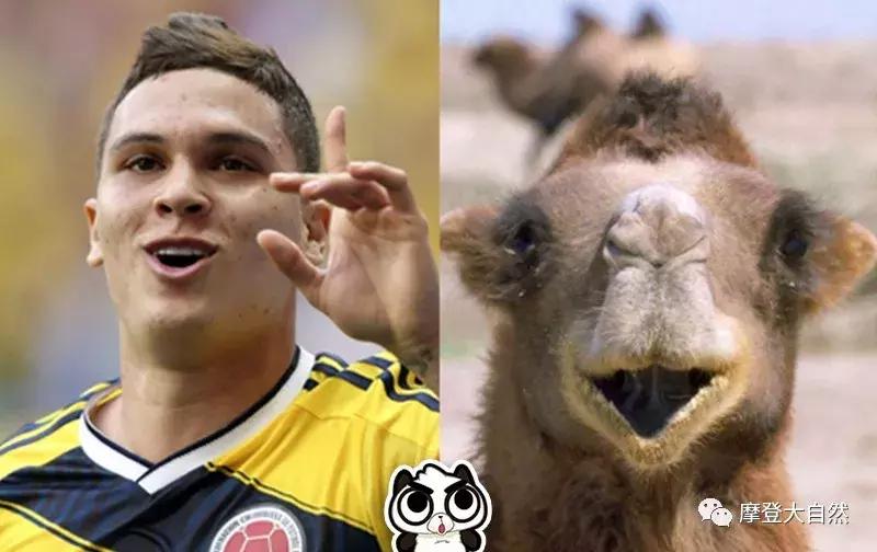 当c罗是什么体验,当c罗扮成流浪汉