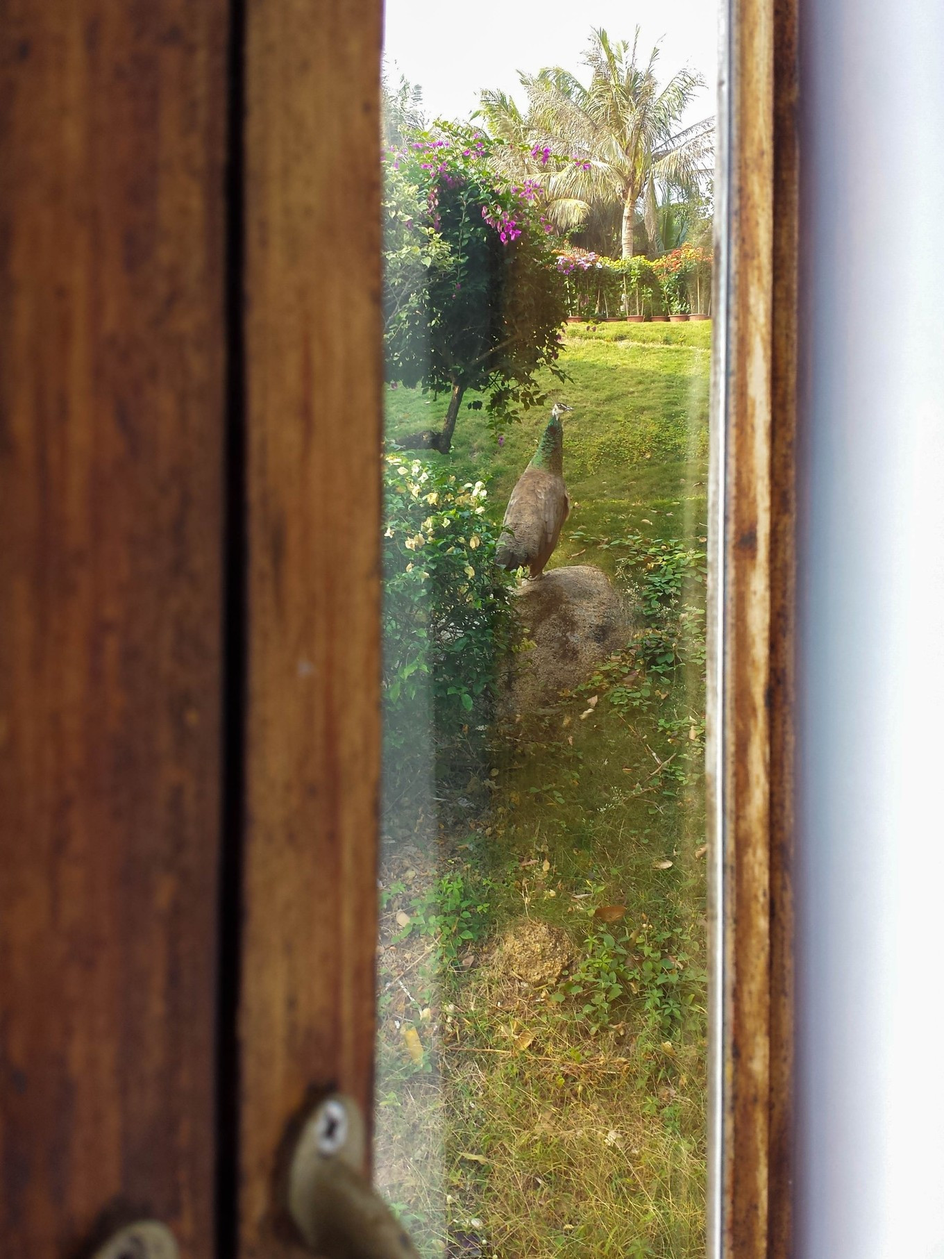 五天四晚三亚情侣攻略,三亚四天攻略