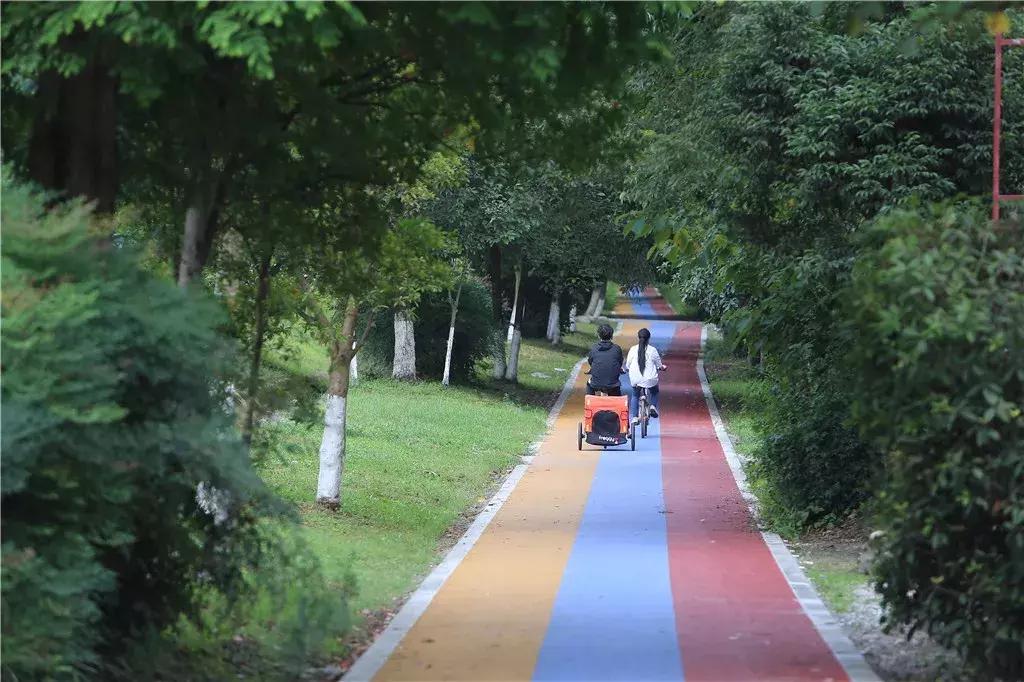 你熟悉的成都“四美”已经变成“五美”了，你知道那是什么吗？