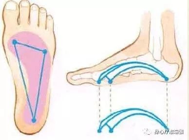 脚趾头无法弯曲怎么回事,脚趾不受控制是什么原因