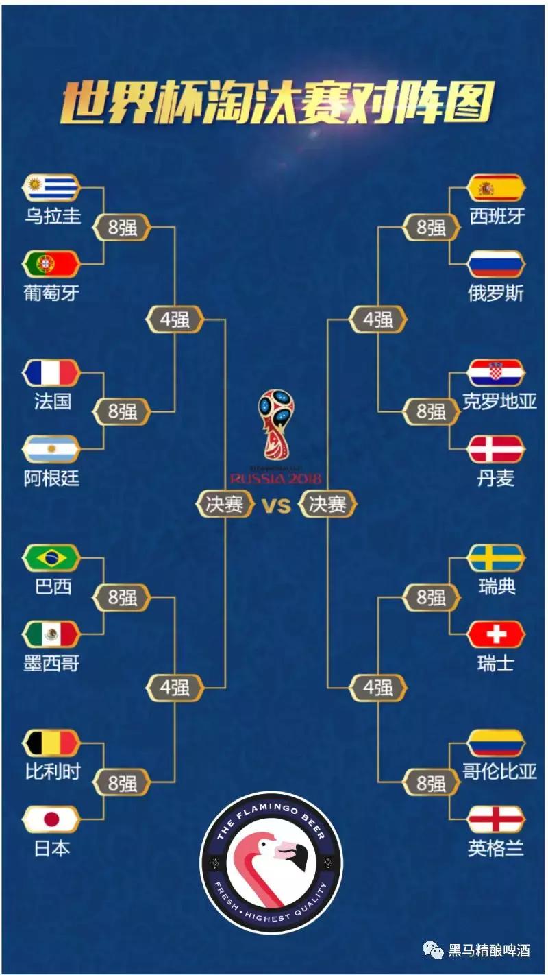 2018世界杯决赛庆祝,世界杯2018决赛庆祝