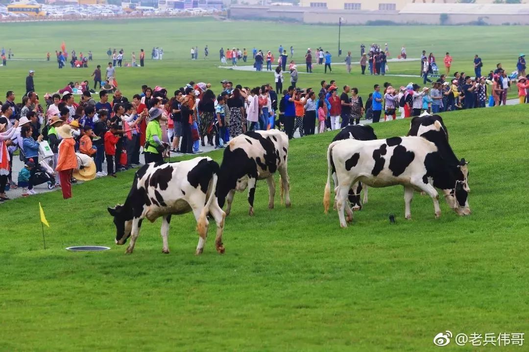 玩遍金州,玩遍大连攻略