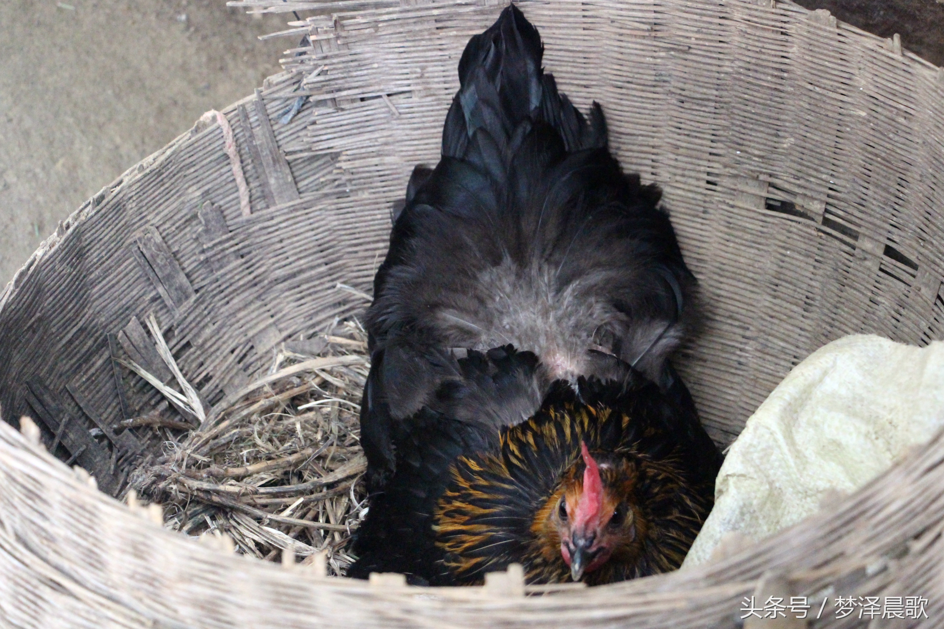 带你吃遍奉节的美食,重庆奉节县特色美食做法