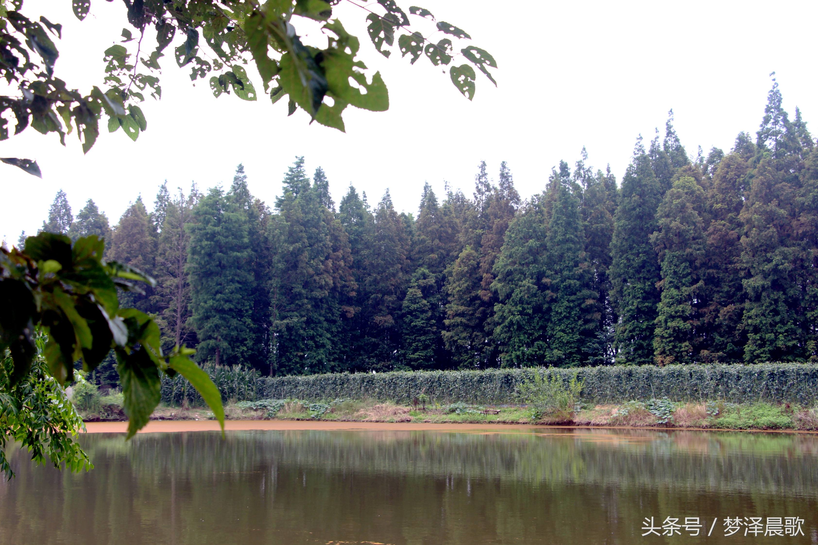 带你吃遍奉节的美食,重庆奉节县特色美食做法