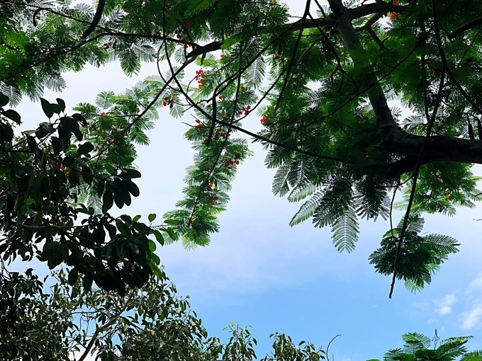 带你到三亚感受不一样的美食美景,三亚之行怎能错过这些美食和美景