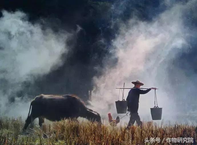 搞农业的赚不赚钱,什么样的农业项目可以挣钱