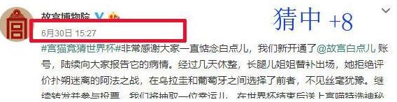 世界杯熊猫预测,世界杯预测猫咪最新