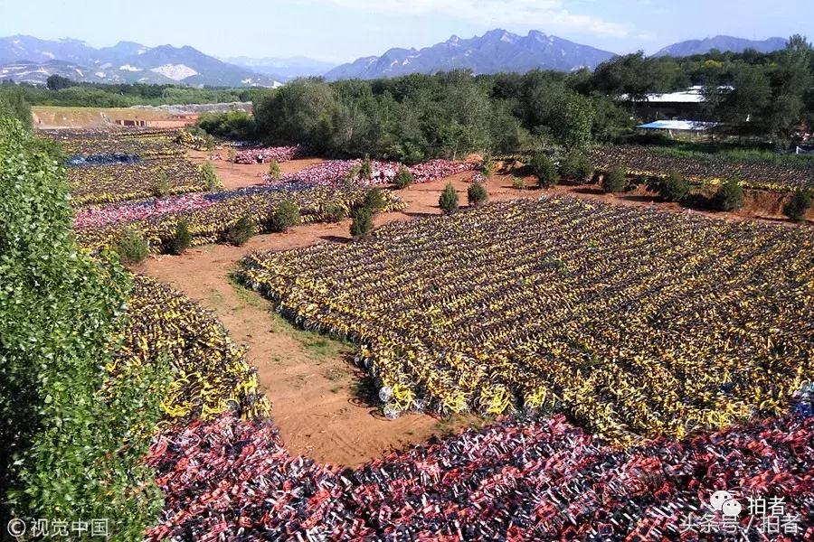 六月的视频片段,六月的惊奇瞬间