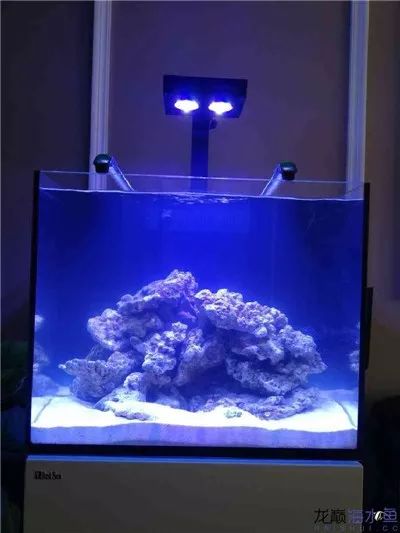 海缸降亚硝酸盐最快方法,硝酸盐中毒急救