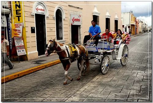 墨西哥雄鹰,墨西哥玛雅文明旅行
