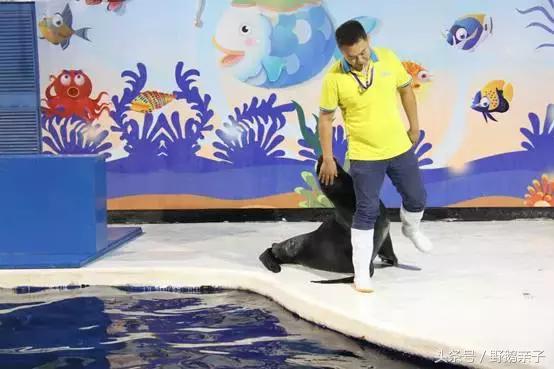 这个夏天去北京旅游好玩吗,夏天适合去的海底世界