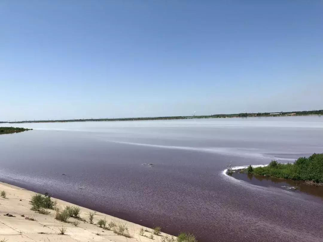 齐齐哈尔东湖明渠黑臭水体,齐齐哈尔臭水沟
