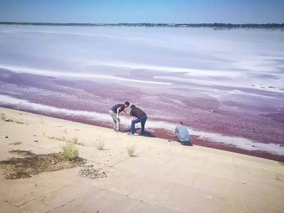 齐齐哈尔东湖明渠黑臭水体,齐齐哈尔臭水沟