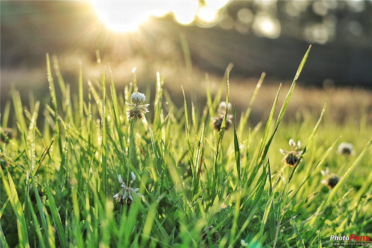 佳能微单eosm100怎么样,佳能eosm10相机评测