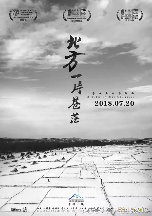 7月片单一览表,7月片