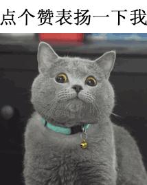 每天一个冷知识下一句,每天一个冷知识分析