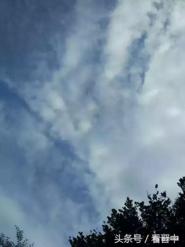 情系职中(杨保卫)