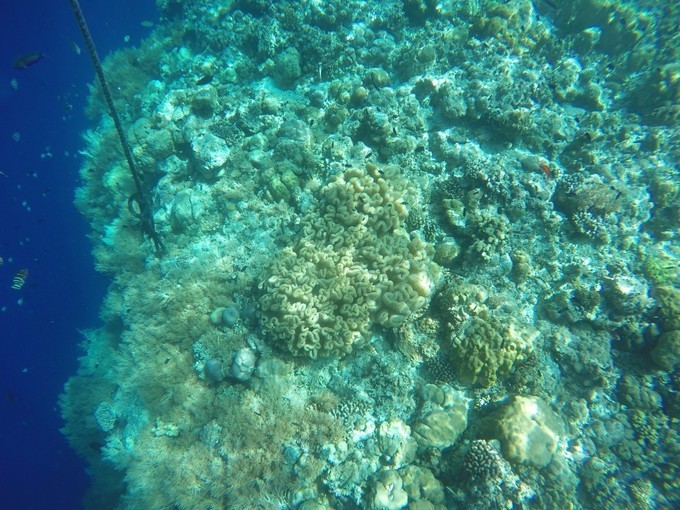 一个人的浪漫旅行视频,一个人的浪漫旅行自由自在