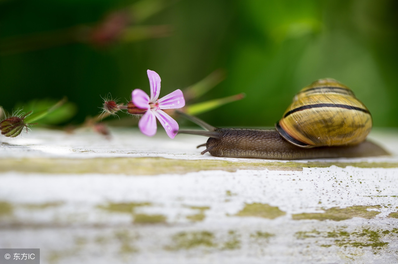 23个哲理故事及写作启示,讲一个幽默而又有哲理的小故事