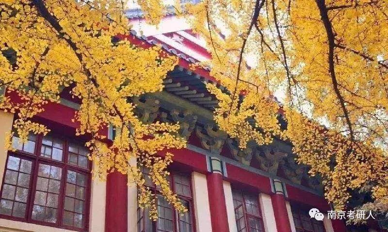 考研院校分析—南京师范大学