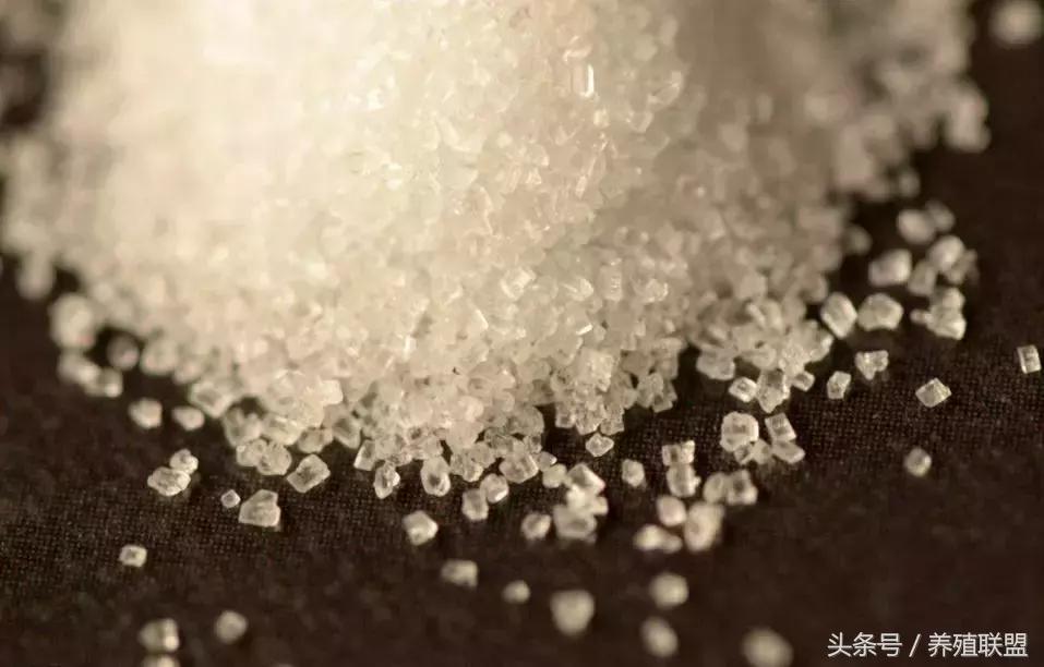 糖价再现4字头，蔗农安好？