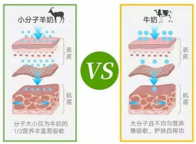 波兰美白面膜测评,德国抗老面膜推荐
