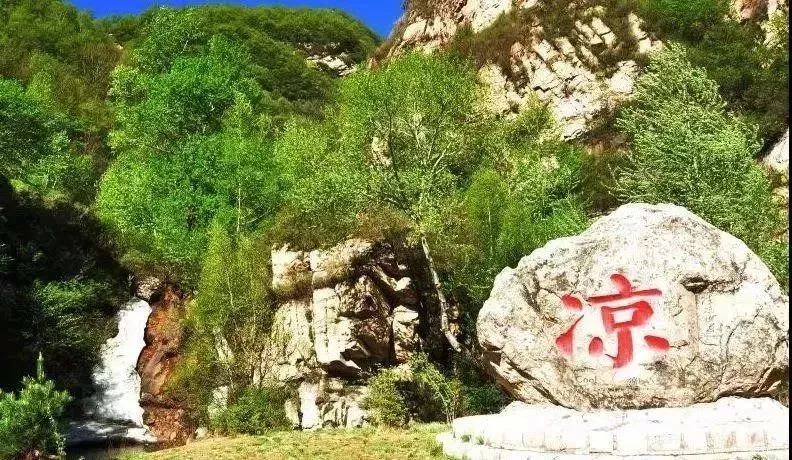 云顶草原花海,驼梁云顶草原风景